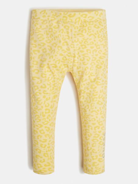 Ghici Cu Jambiere Galbene