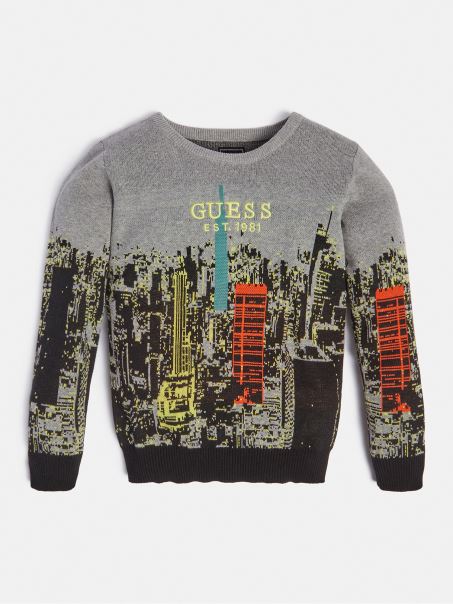 Pulover Imprimat Peste Tot Gri Multi Guess