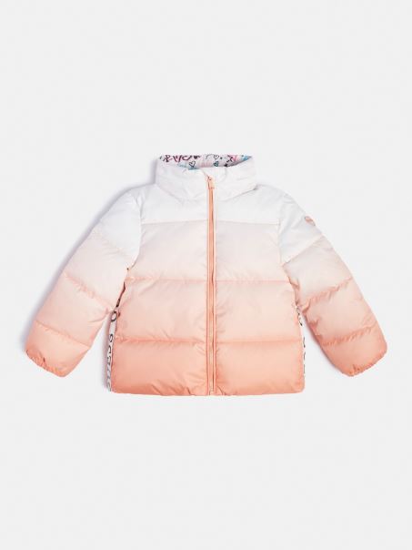 Portocaliu Ghici Culoare Gradient Puffer