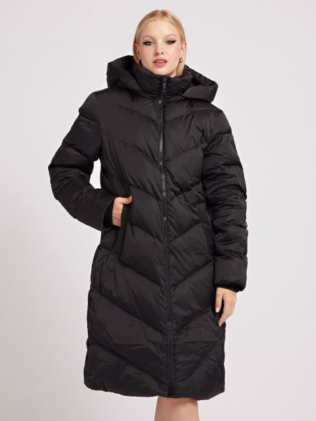 Puffer Pulmonar Ghici Negru