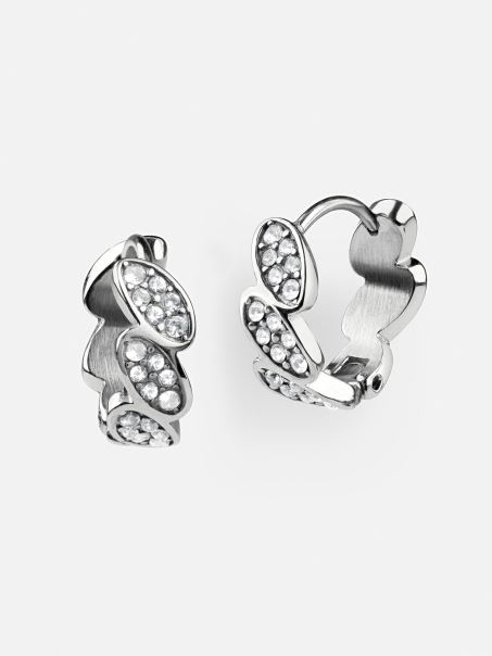 Ghici Frunza De Argint