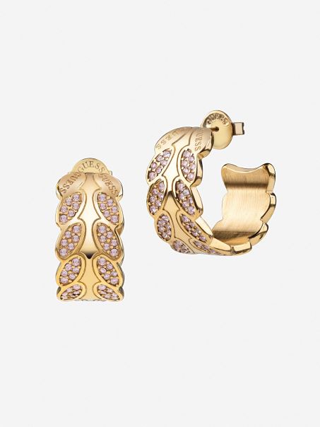 Ghici Re-frunză Yglr