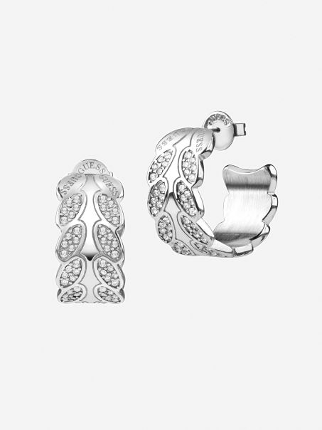 Ghicirea Frunzei De Argint