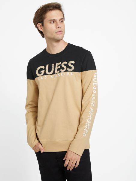 Tricou Cu Mânecă Lungă Guess Eco Zioin Color-block Taupe Prajit