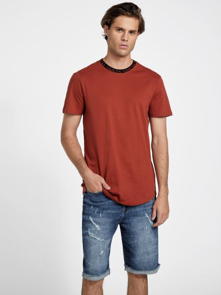 Ghici Mojave Ronnie Logo Crewgate