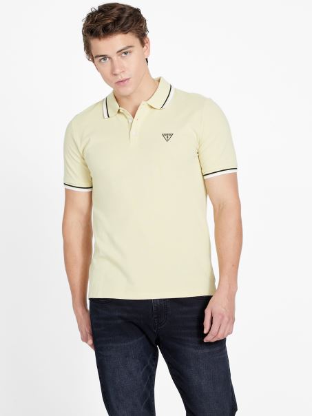 Allen Polo Citrus Sun Guess