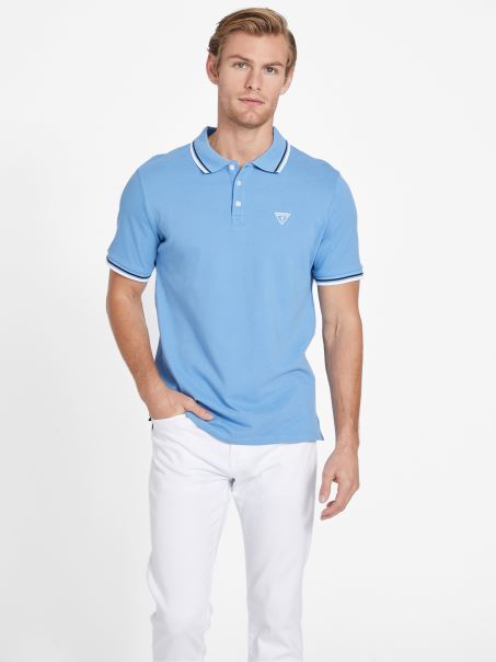 Allen Polo Guess Campanula